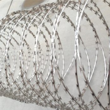 Concertina 1